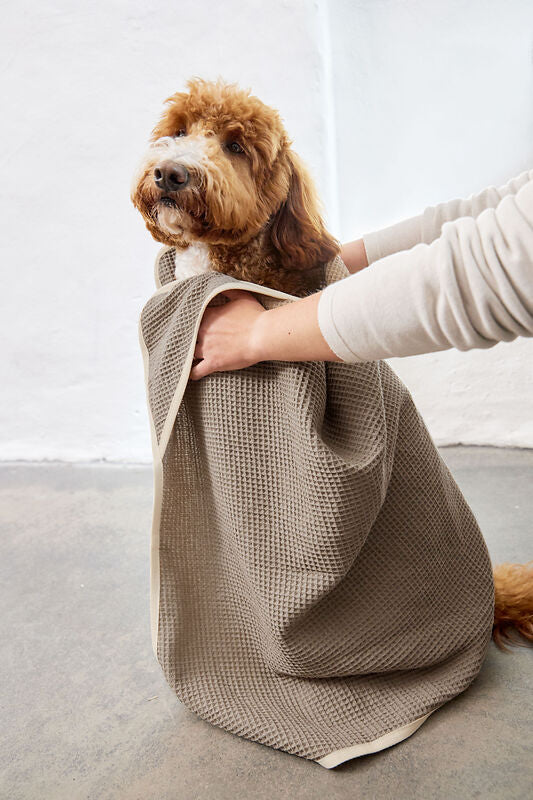 Hundehandtuch – Nobs