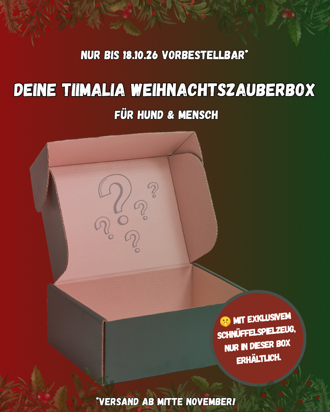 TiiMalia Weihnachtszauberbox