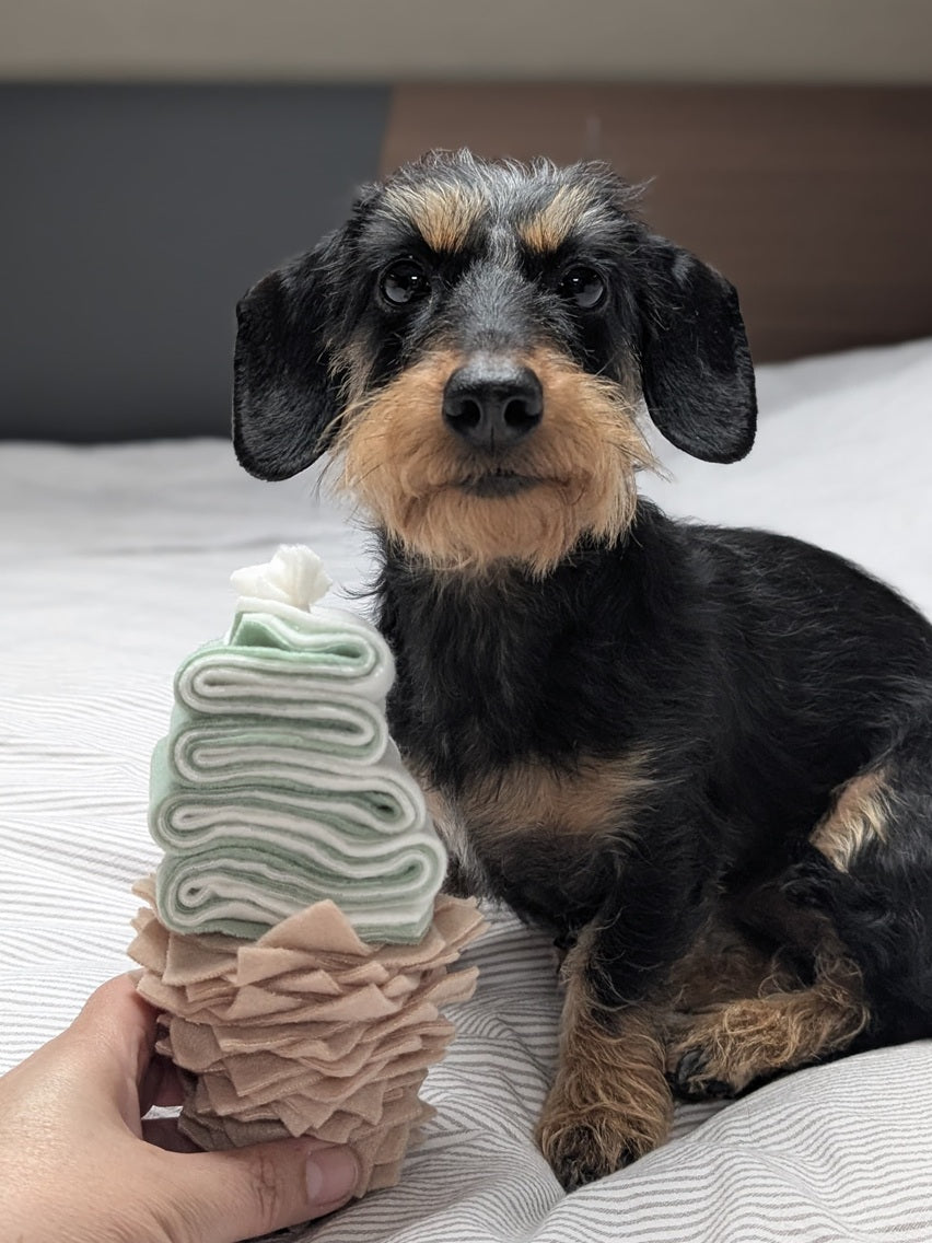Sommerliches Hundespielzeug & Schnüffelprodukte