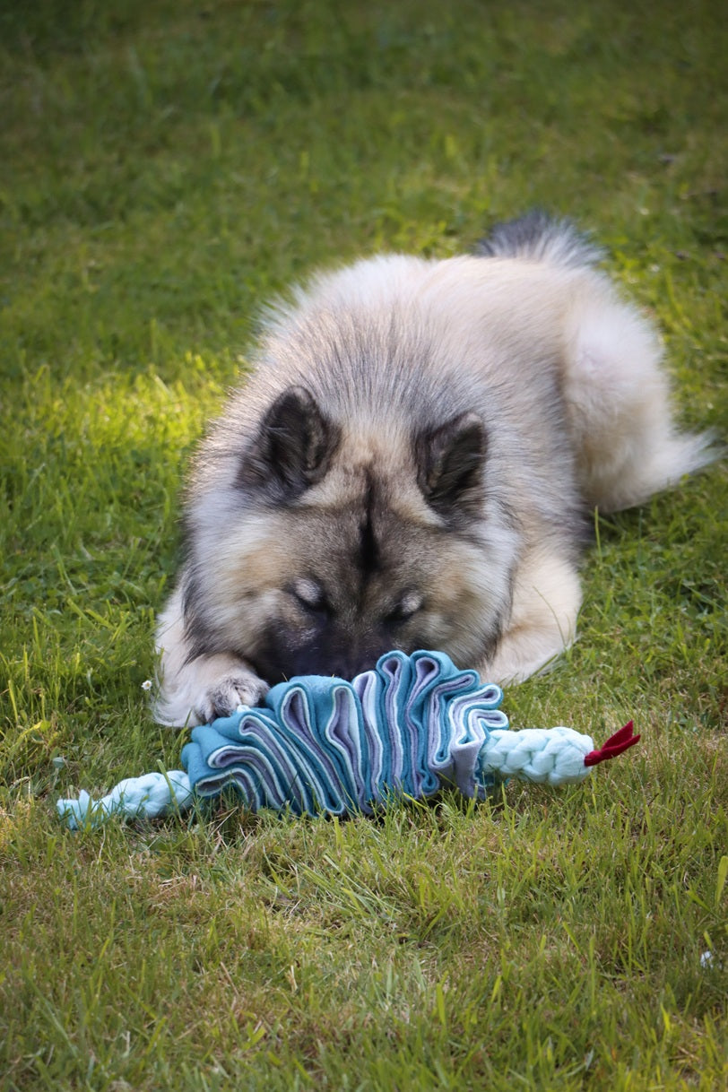 Sofort verfügbare Schnüffelprodukte & Hundespielzeug