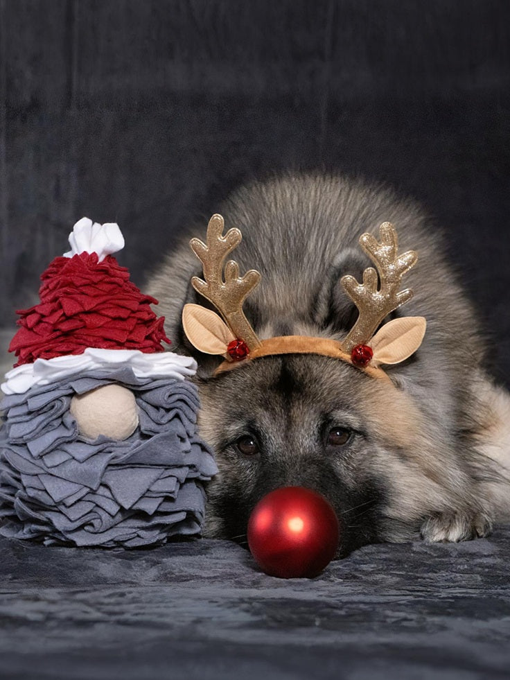 Weihnachtliches Hundespielzeug & Schnüffelprodukte
