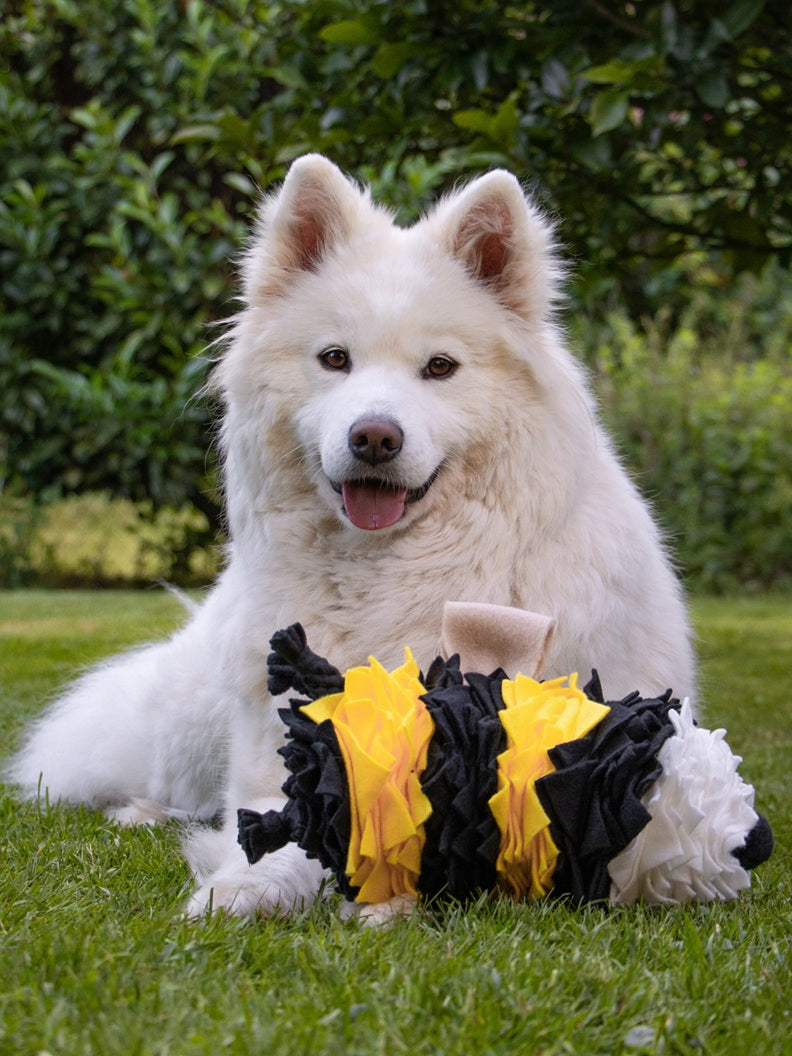 Sofort verfügbare Schnüffelprodukte für Hunde