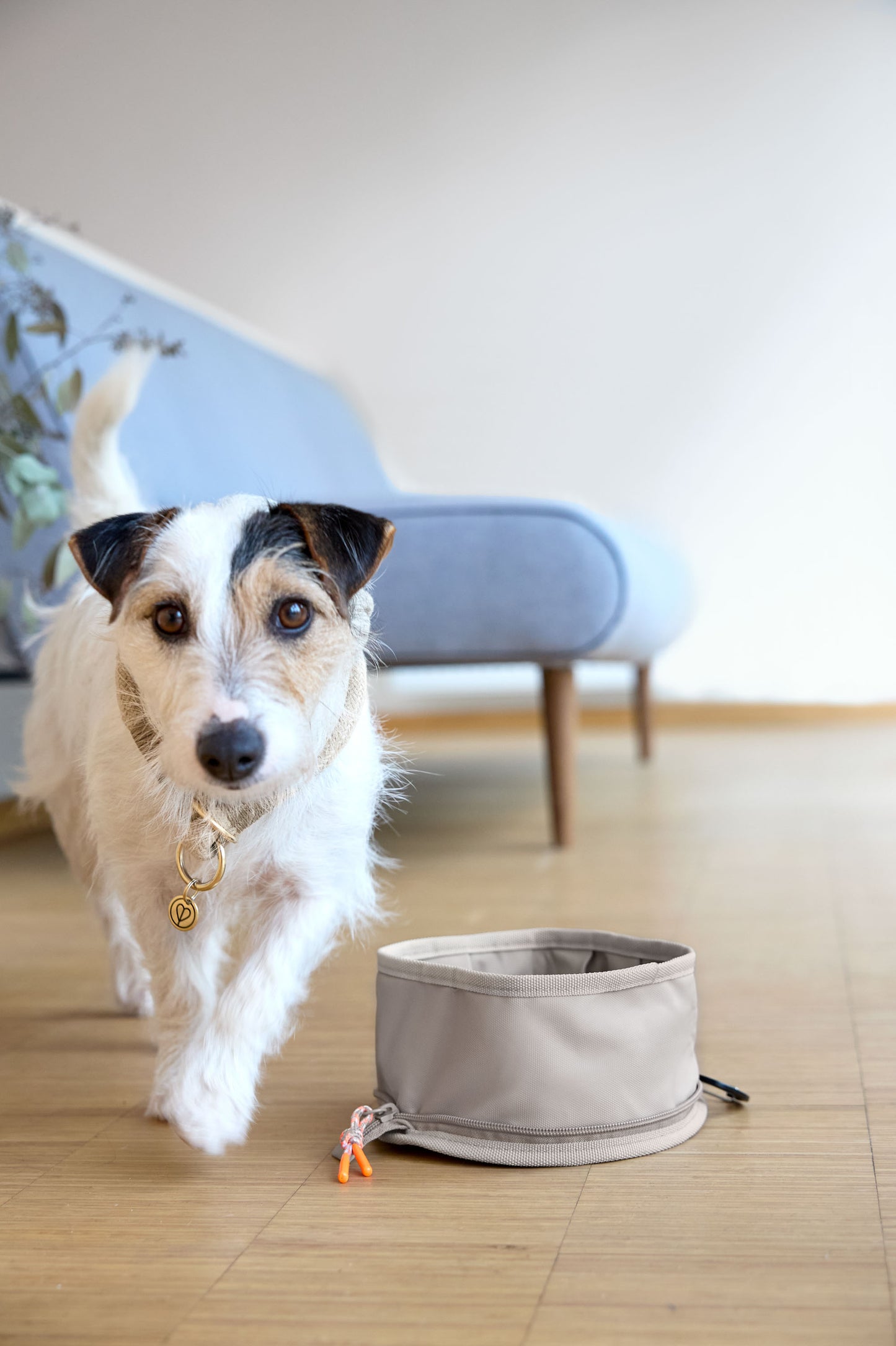 Reisenapf für Hunde – Tura