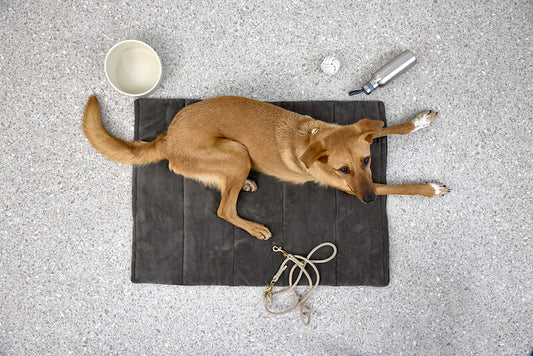 Hundematte – Alma