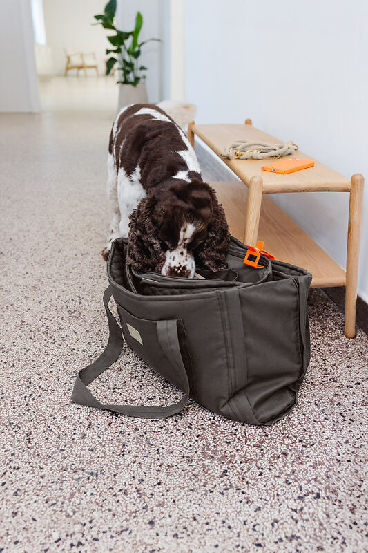 Hundemattentasche – Nobo