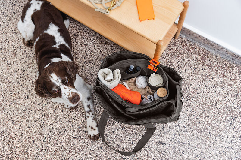Hundemattentasche – Nobo