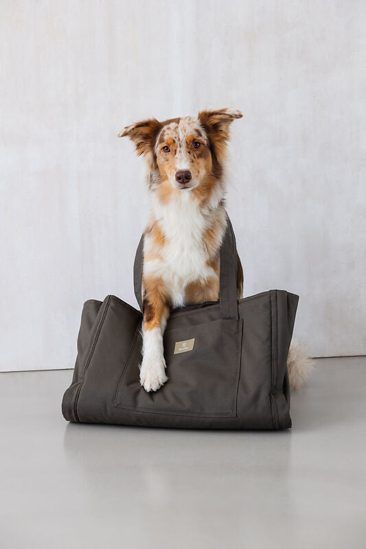 Hundemattentasche – Nobo