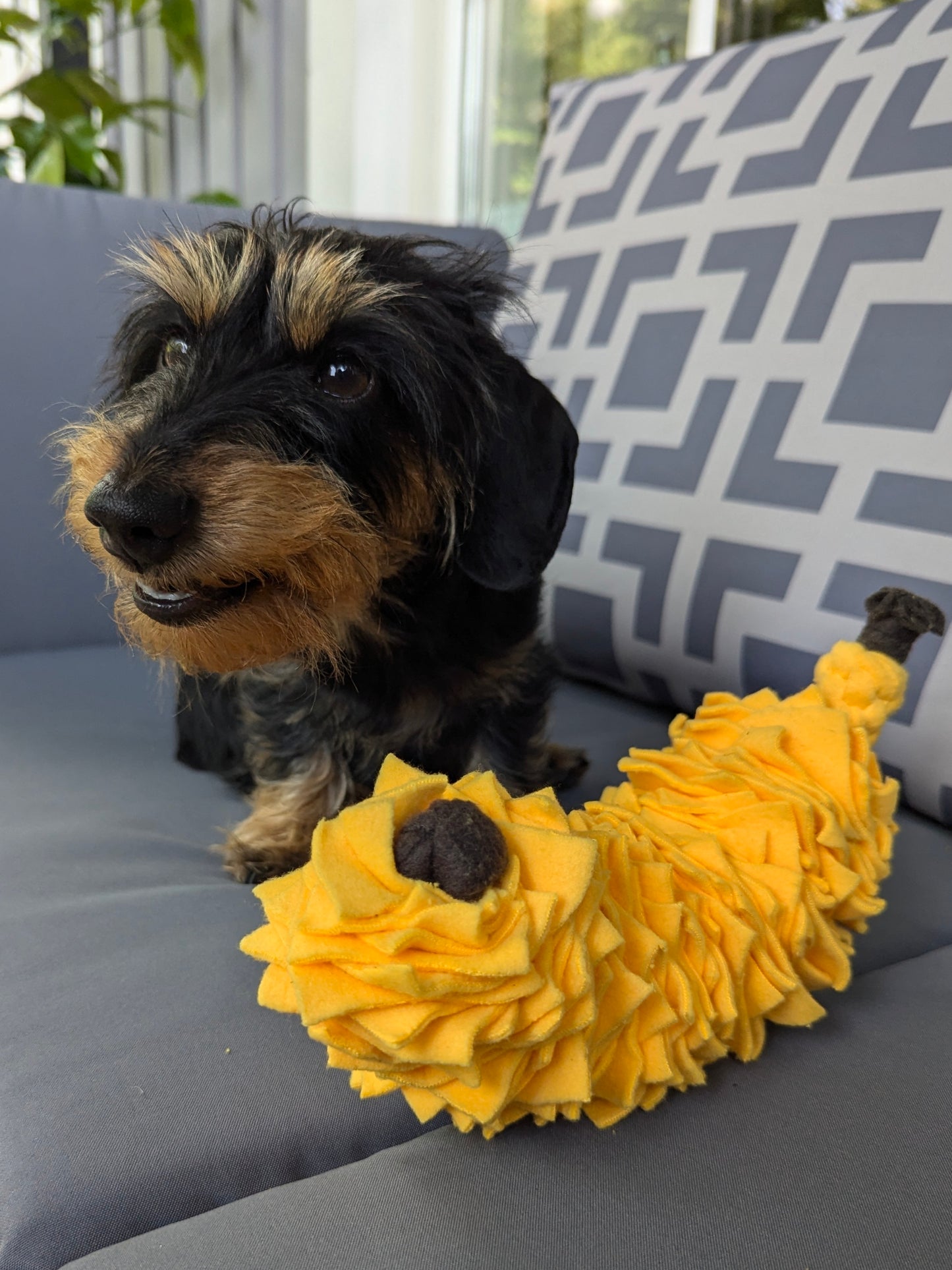 Schnüffel-Banane