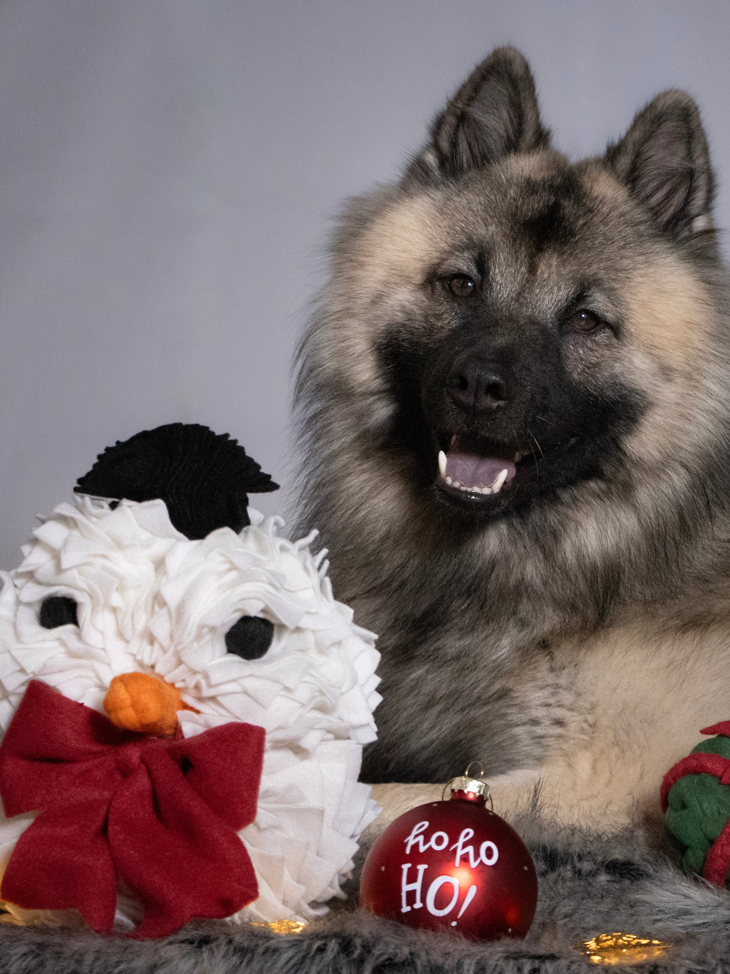 Schnüffel-Schneemann