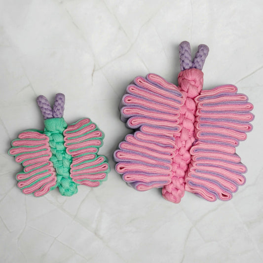 Wunsch Schnüffel-Schmetterling