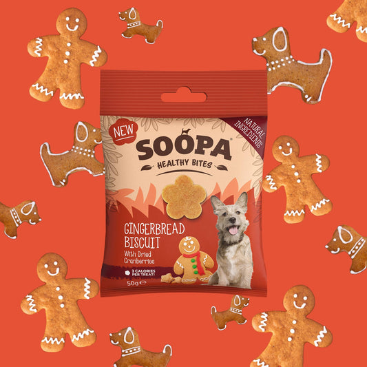 SOOPA - Gingerbread Biscuit mit Ingwer & Cranberry