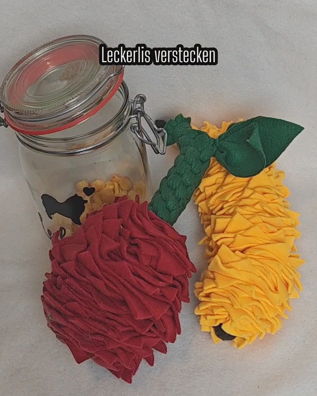 Video laden: So einfach entstehen glückliche Schnüffelmomente mit Hunden